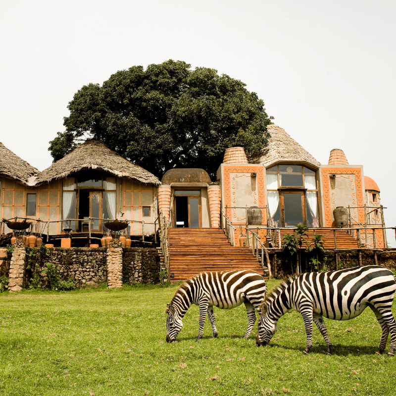 Thumbnail - Ngorongoro Crater, Tanzania.png