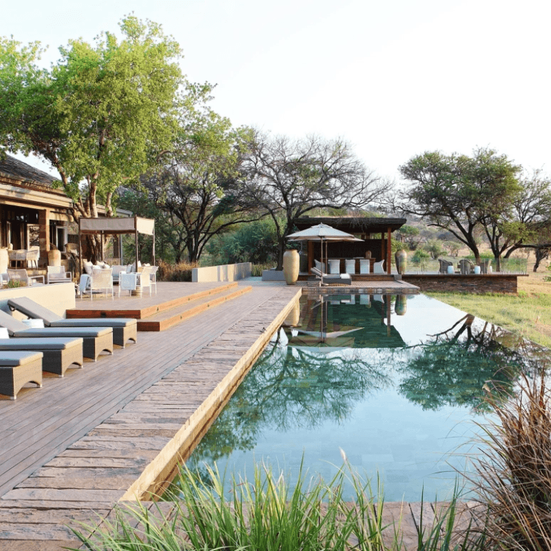 Thumbnail - Singita Serengeti House Tanzanie.png