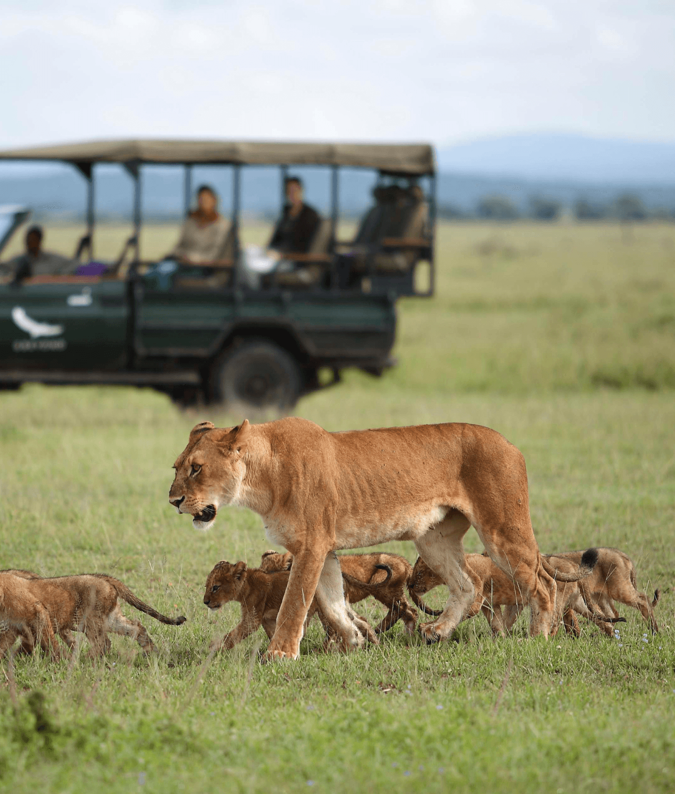 Journey - Tailor Made Safari at Tanzania & Zanzibar - Cover Image [1360 x 1600 px].png