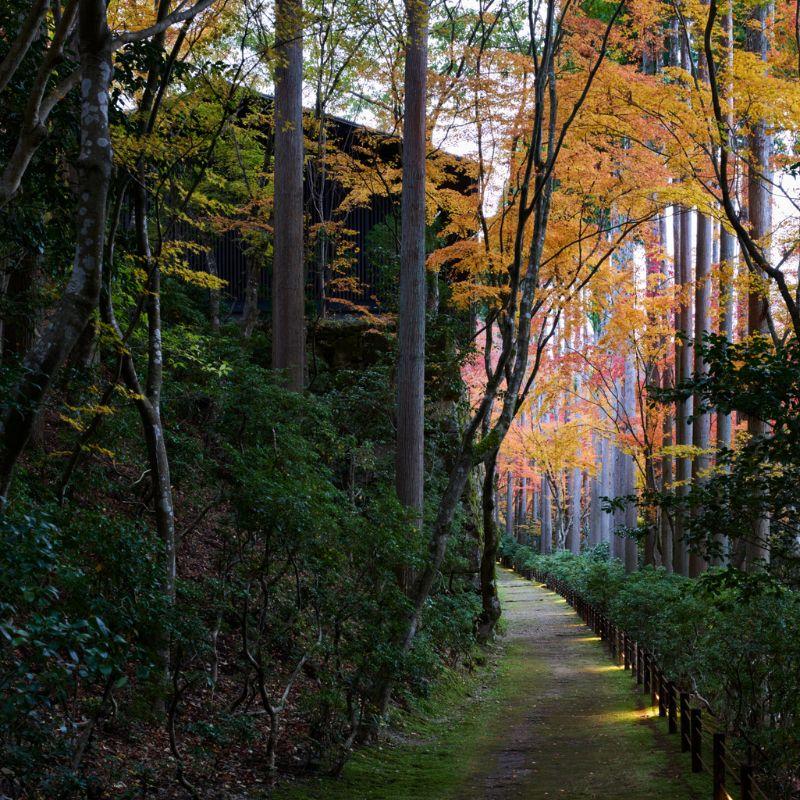 Luxury Resorts - Aman Kyoto - Thumbnail [800 x 800 px].jpg