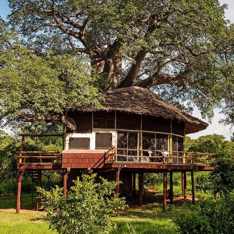 Luxury Resorts - Elewana Tarangire Treetops - Thumbnail [800 x 800 px].jpg